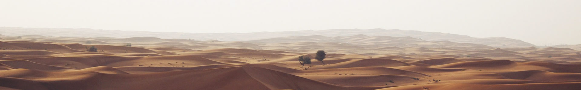 ɽн޹˾
